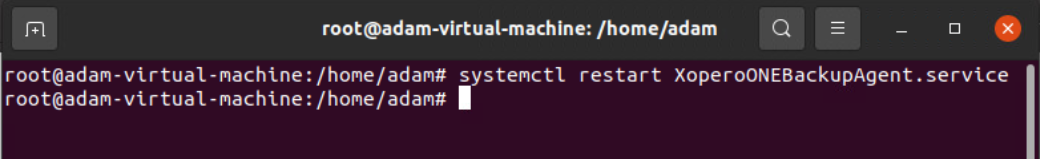 Linux's terminal window