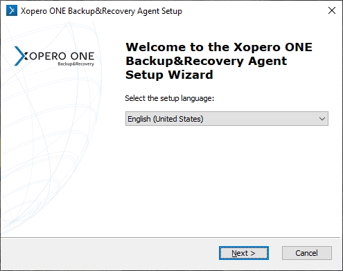 selecting the setup language