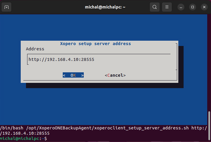 Xopero ONE service URL example